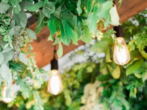 Edison string lighting-call for pricing 