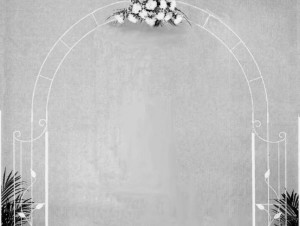 Wrought Iron Archway $95.00